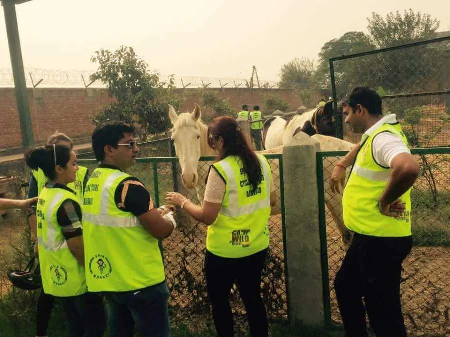 Animal Orphanage at Camp Wild Retreat - Wildlife Conservation and Rehabilitation Sanctuary