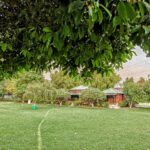 🌿 Camp Wild Retreat – Growing Adventure with Sustainability